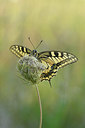 BUITEN BEELD Foto: 322579