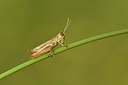 BUITEN BEELD Foto: 322593