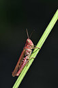 BUITEN BEELD Foto: 322612