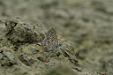 BUITEN BEELD Foto: 322614
