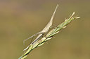 BUITEN BEELD Foto: 322628