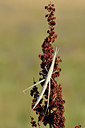 BUITEN BEELD Foto: 322629