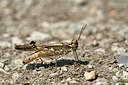 BUITEN BEELD Foto: 322657