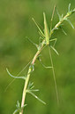 BUITEN BEELD Foto: 322679
