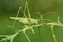 BUITEN BEELD Foto: 322680