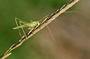 BUITEN BEELD Foto: 322695