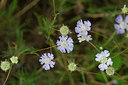 BUITEN BEELD Foto: 322704