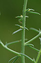 BUITEN BEELD Foto: 322711