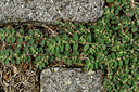 BUITEN BEELD Foto: 322720