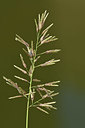 BUITEN BEELD Foto: 322726