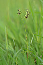 BUITEN BEELD Foto: 322746