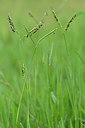 BUITEN BEELD Foto: 322748