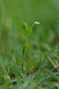 BUITEN BEELD Foto: 322749