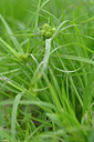 BUITEN BEELD Foto: 322751