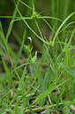 BUITEN BEELD Foto: 322756