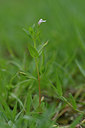 BUITEN BEELD Foto: 322758