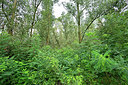 BUITEN BEELD Foto: 322769