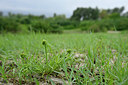 BUITEN BEELD Foto: 322772