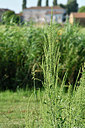 BUITEN BEELD Foto: 322812