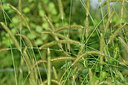 BUITEN BEELD Foto: 322817