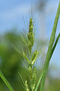 BUITEN BEELD Foto: 322830