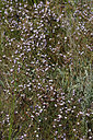 BUITEN BEELD Foto: 322835
