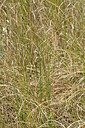 BUITEN BEELD Foto: 322861