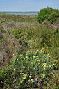 BUITEN BEELD Foto: 322871