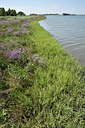 BUITEN BEELD Foto: 322873