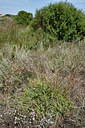 BUITEN BEELD Foto: 322875