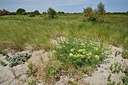 BUITEN BEELD Foto: 322877