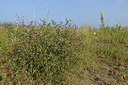 BUITEN BEELD Foto: 322899