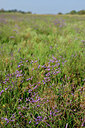 BUITEN BEELD Foto: 322900