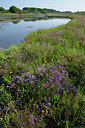 BUITEN BEELD Foto: 322902