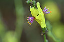 BUITEN BEELD Foto: 322904