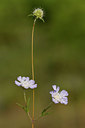 BUITEN BEELD Foto: 322915