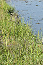 BUITEN BEELD Foto: 322920
