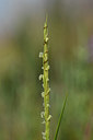 BUITEN BEELD Foto: 322923