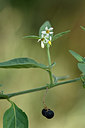 BUITEN BEELD Foto: 322924