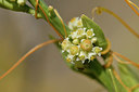 BUITEN BEELD Foto: 322949