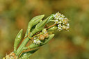 BUITEN BEELD Foto: 322951
