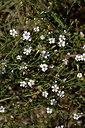 BUITEN BEELD Foto: 322958