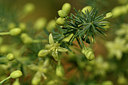 BUITEN BEELD Foto: 322960