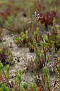 BUITEN BEELD Foto: 322962
