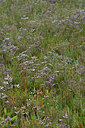 BUITEN BEELD Foto: 322963
