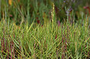 BUITEN BEELD Foto: 322965
