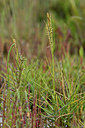 BUITEN BEELD Foto: 322970