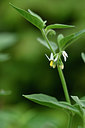 BUITEN BEELD Foto: 323011
