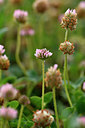 BUITEN BEELD Foto: 323017