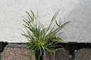 BUITEN BEELD Foto: 323022